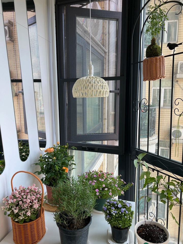 Campana Small White Rattan Dome Basket Pendant Light