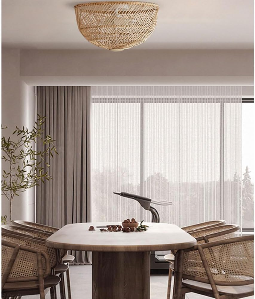 Pottery Barn White Dome Rattan Light Fixture